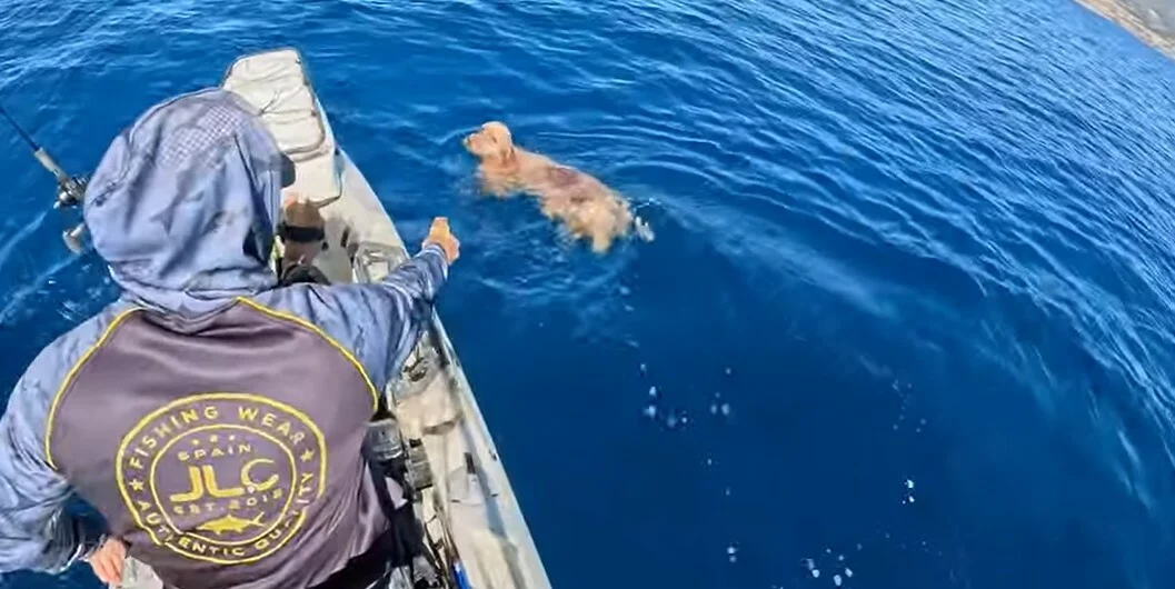 Πάρος. Βγήκε για ψάρεμα με το καγιάκ και διέσωσε σκύλο που κολυμπούσε μεσοπέλαγα! Δείτε το βίντεο…