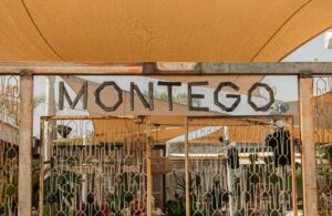 Το απόλυτο hot spot του Πρωταρά «βουλιάζει» τα Σάββατα του Ιουλίου!