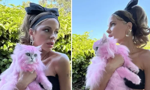 Κέιτ Μπέκινσεϊλ: Αντιδράσεις για τη ροζ γάτα της – “Ποιος βάφει το κατοικίδιό του έτσι;” (Εικόνες)