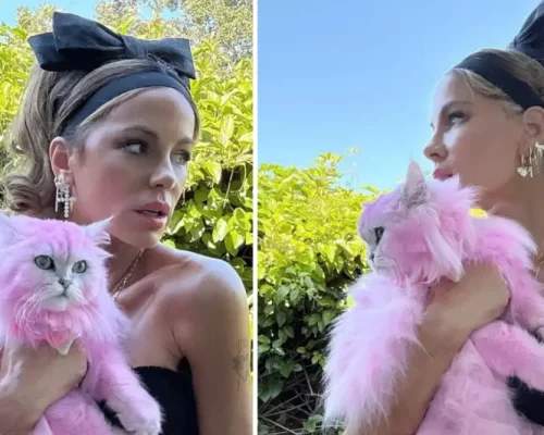 Κέιτ Μπέκινσεϊλ: Αντιδράσεις για τη ροζ γάτα της – “Ποιος βάφει το κατοικίδιό του έτσι;” (Εικόνες)