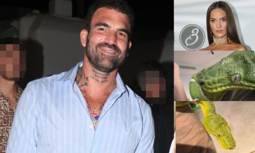 Δημήτρης Αλεξάνδρου: Έδωσε στο φίδι του το όνομα της συντρόφου του – Δείτε την αντίδρασή της