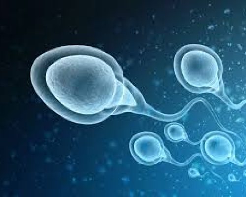 Συναγερμός σε Ελλάδα και Ευρώπη: Δότης σπέρματος με καρκινικό γονίδιο έγινε πατέρας τουλάχιστον 197 παιδιών