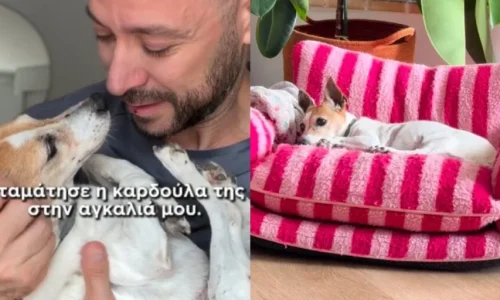 Μιλού: Πέθανε στην αγκαλιά του Γρηγόρη Κορπίδη – Σπαραγμός για το διάσημο σκυλάκι του TikTok: «Σταμάτησε η καρδούλα της»