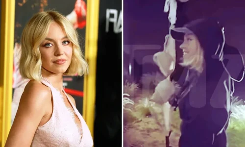 Σίντνεϊ Σουίνι: Ανέβηκε στην πινακίδα του Χόλιγουντ και κρέμασε σουτιέν, προκαλώντας χαμό (Βίντεο)