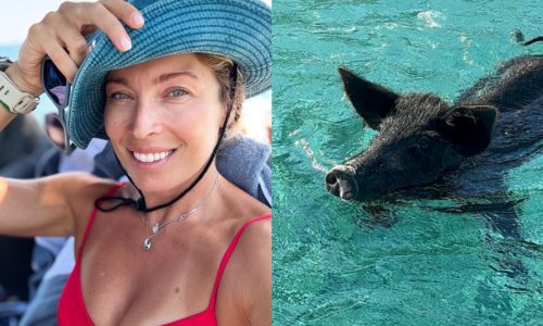 Μαριέττα Χρουσαλά: Κολύμπησε με γουρούνια στο Ιόνιο – «Μια από τις πιο ξεχωριστές εμπειρίες»