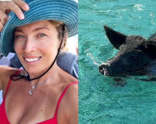 Μαριέττα Χρουσαλά: Κολύμπησε με γουρούνια στο Ιόνιο – «Μια από τις πιο ξεχωριστές εμπειρίες»